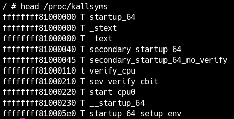 /proc/kallsymsの先頭
