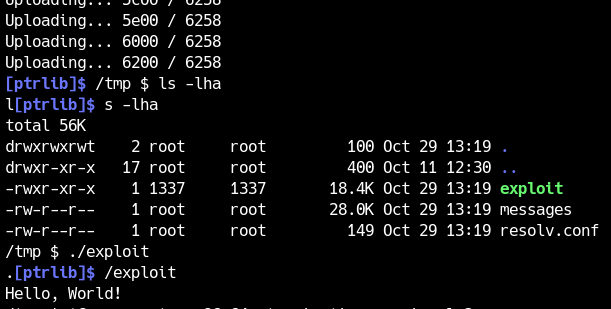 upload.pyの実行結果